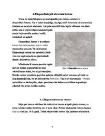 Research Papers 'Eksponētais, krāsainais un baltais betons, Materiāla mācība', 8.