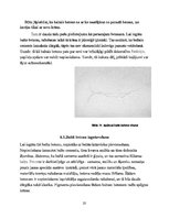 Research Papers 'Eksponētais, krāsainais un baltais betons, Materiāla mācība', 19.
