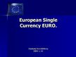 Presentations 'European Single Currency Euro', 1.