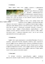 Research Papers 'Граффити', 6.