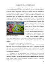 Research Papers 'Граффити', 19.