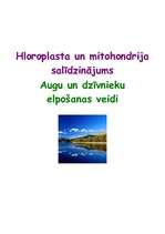 Research Papers 'Hloroplasta un mitohondrija salīdzinājums', 1.