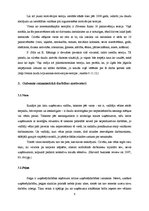 Research Papers 'Saimnieciskās darbības motīvi un stimulatori', 6.