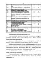 Term Papers 'Budžeta plānošana un grāmatvedības uzskaite Rēzeknes 14.arodvidusskolā', 21.