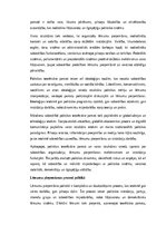 Essays 'Politika un mūsdienu sabiedrība: varas struktūras, lēmumu pieņemšana un pilsoņu ', 2.