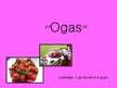 Presentations 'Ogas', 1.