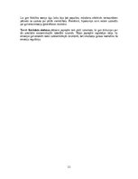 Research Papers 'Emocionālās smadzenes', 11.