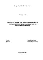 Research Papers 'Cultural Shock. The Difference Between Cultures, Traditions and Customs in Diffe', 1.