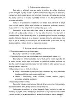 Practice Reports 'Prakses deju studijā', 3.