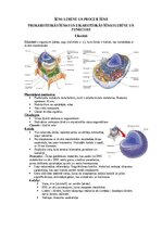 Summaries, Notes 'Šūnu uzbūve un procesi šūnā', 1.