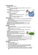 Summaries, Notes 'Šūnu uzbūve un procesi šūnā', 2.