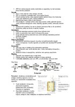 Summaries, Notes 'Šūnu uzbūve un procesi šūnā', 3.