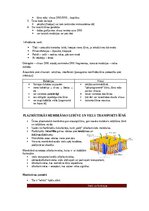 Summaries, Notes 'Šūnu uzbūve un procesi šūnā', 6.