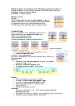 Summaries, Notes 'Šūnu uzbūve un procesi šūnā', 8.
