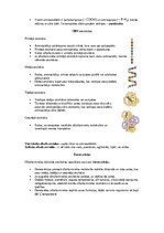 Summaries, Notes 'Šūnu uzbūve un procesi šūnā', 13.