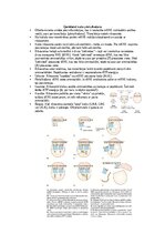 Summaries, Notes 'Šūnu uzbūve un procesi šūnā', 17.