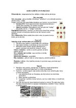 Summaries, Notes 'Šūnu uzbūve un procesi šūnā', 18.