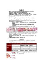 Summaries, Notes 'Šūnu uzbūve un procesi šūnā', 20.