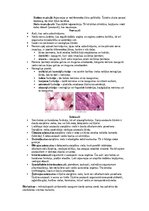 Summaries, Notes 'Šūnu uzbūve un procesi šūnā', 21.