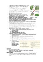 Summaries, Notes 'Šūnu uzbūve un procesi šūnā', 23.
