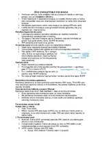 Summaries, Notes 'Šūnu uzbūve un procesi šūnā', 24.
