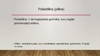 Presentations 'Cietie polimerizācijas  un polikondensācijas dielektriķi', 7.