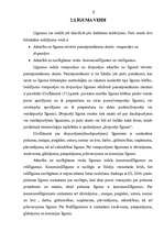 Research Papers 'Aizdevuma un patapinājuma līguma līdzības un atšķirības LR Civillikumā', 5.