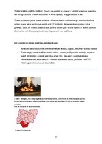 Research Papers 'Aktuālās vides problēmas Latvijā un pasaulē, kas saistītas ar ķīmiju', 25.