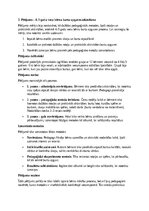 Summaries, Notes 'Burtu apguves veicināšana 4–5 gadu vecumā', 5.