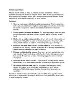 Summaries, Notes 'Burtu apguves veicināšana 4–5 gadu vecumā', 7.