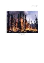 Research Papers 'Mežu ugunsgrēku veidi un to ietekme uz vidi', 28.
