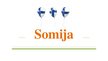 Presentations 'Somija', 1.