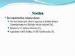 Presentations 'Organizācijas tēla analīze: Nordea piemērs', 8.