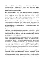 Essays 'Cilvēka skeleta, muskuļu un locītavu sistēmu anatomija un dzimumu atšķirības', 2.