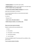 Summaries, Notes 'Pilsoņu kopuma tiesības un Satversmes tiesas process', 3.