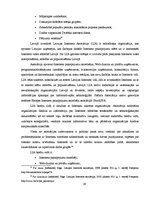 Research Papers 'E-komercijas biznesa modeļi Latvijā', 29.