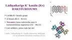 Presentations 'Lādiņatkarīgie K+ jonu kanāli', 2.
