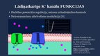 Presentations 'Lādiņatkarīgie K+ jonu kanāli', 6.