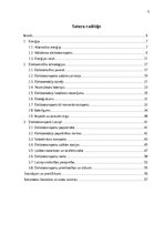 Term Papers 'Elektrotransporta attīstības potenciāls Latvijā', 6.