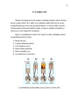 Term Papers 'Elektrotransporta attīstības potenciāls Latvijā', 12.