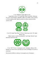 Term Papers 'Elektrotransporta attīstības potenciāls Latvijā', 49.