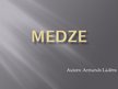 Presentations 'Medze', 1.
