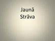 Presentations 'Jaunā strāva', 1.