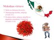 Presentations 'Meksikas kultūra', 3.