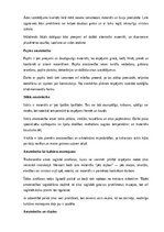 Research Papers 'Amatniecība un mājturība', 7.