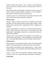 Research Papers 'Amatniecība un mājturība', 8.