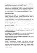 Research Papers 'Amatniecība un mājturība', 13.