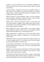 Research Papers 'Amatniecība un mājturība', 22.