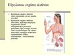 Presentations 'Cilvēka organisma uzbūve, organisma funkciju regulētājsistēmas un imūnsistēma', 4.