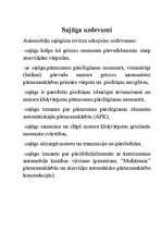 Summaries, Notes 'Sajūgs', 2.